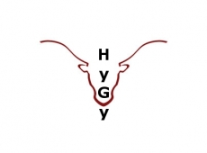 hygy6_1.jpg