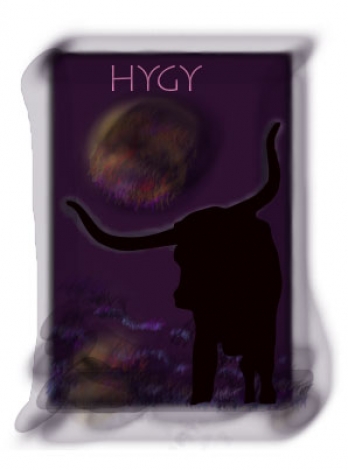 hygy1.jpg