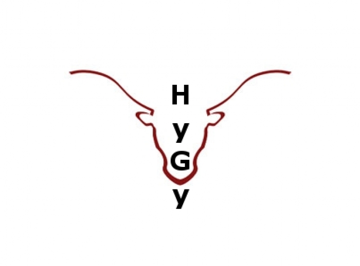 hygy6_1.jpg